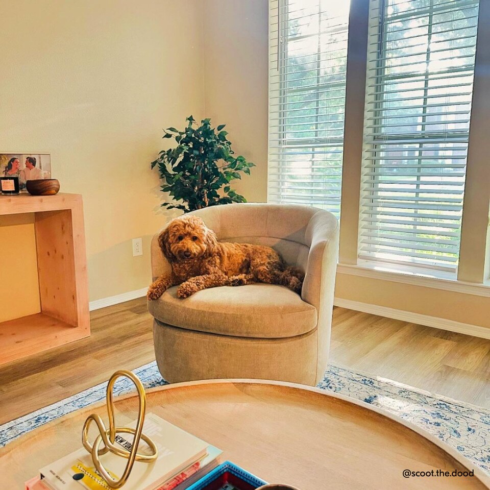 Viv Swivel Armchair