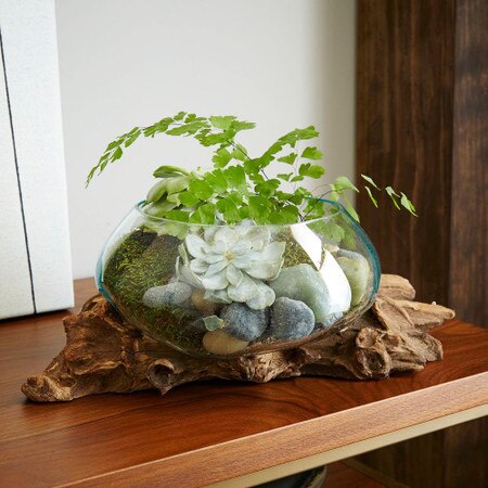 Wood Glass Terrariums West Elm United Kingdom - Large Glass Terrarium Bowl Wood Glass Terrariums West Elm United Kingdom - Large Glass Terrarium Bowl